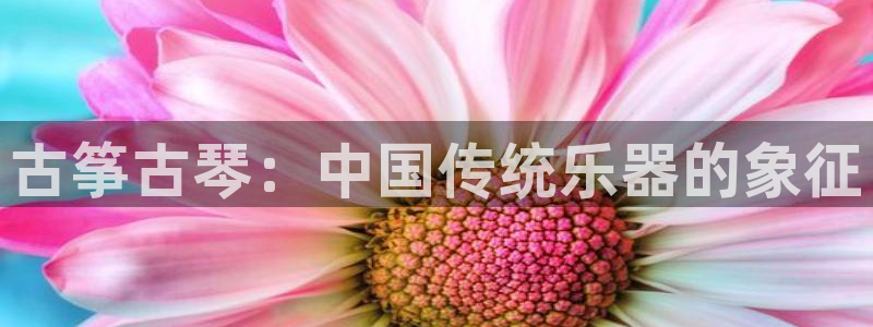 凯发k8娱乐官网手机端中心
