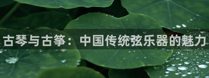 凯发国际网址官网首页
