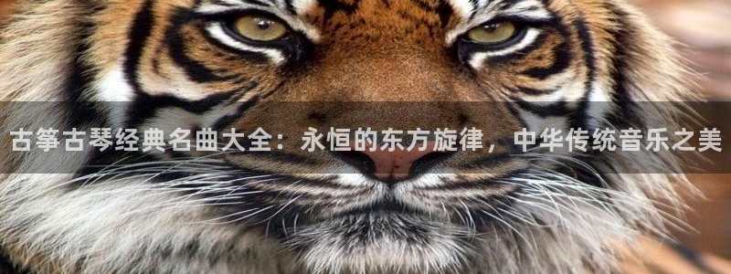 凯发唯一官方网站
