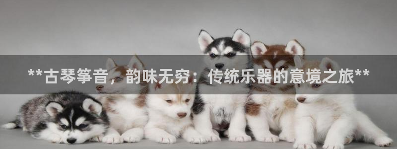 凯发k8国际下载