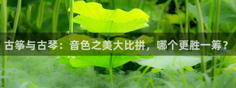 凯发k8手机是正品吗