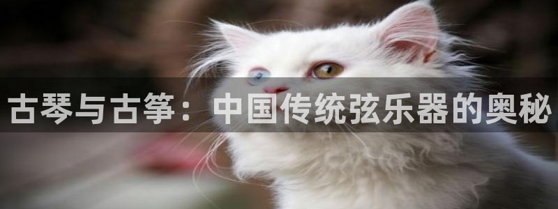 凯发平台开户