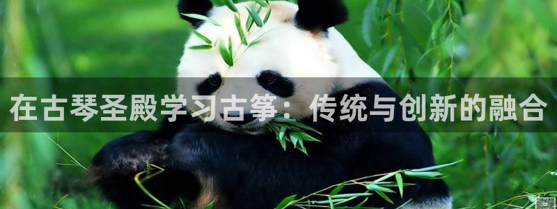 凯发k8手机网页