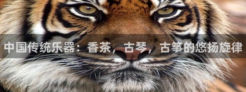 凯发旗舰厅
