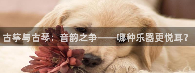 凯发官网地址