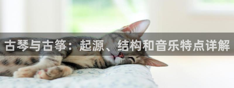 凯发k8娱乐现在还有吗