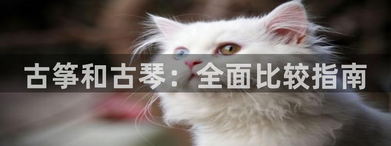 凯发app官网