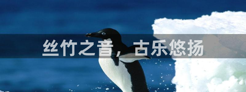凯发网站是多少