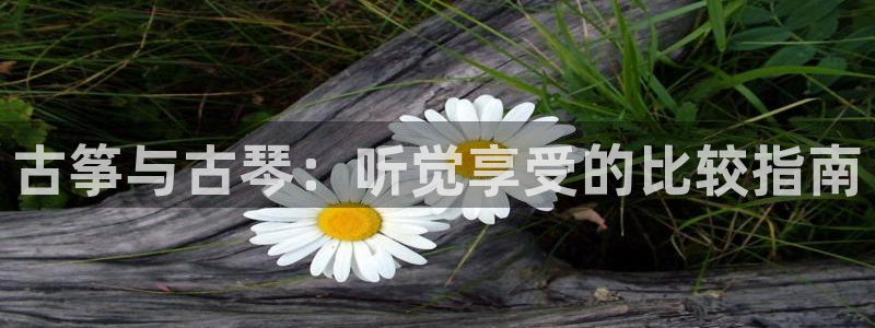 凯发网址直营