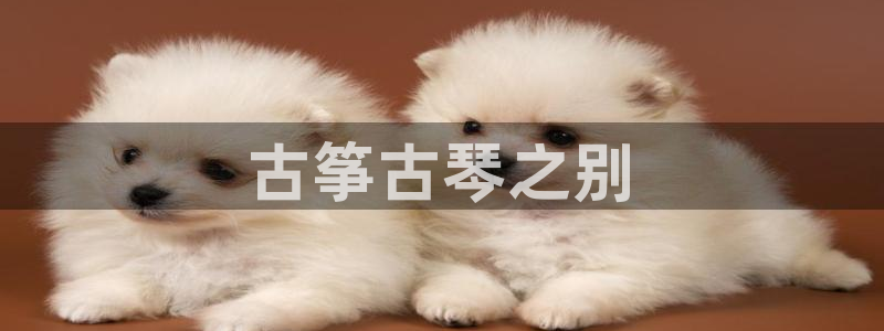 凯发旗舰平台