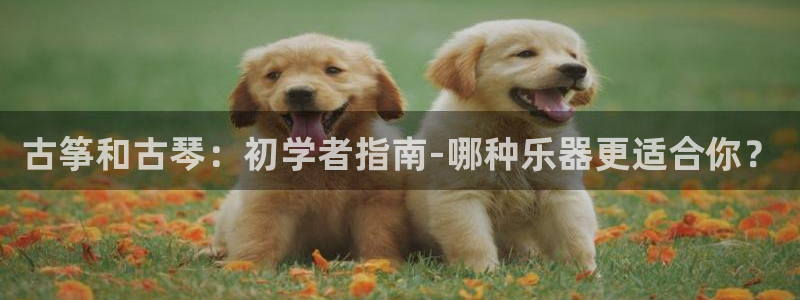 凯发娱乐k8国际