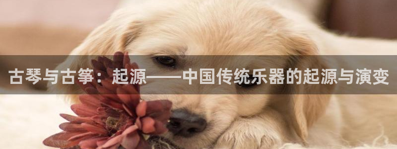 凯发k8娱乐是什么平台
