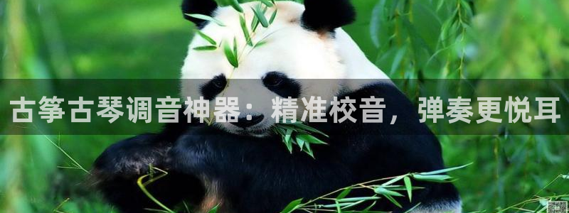 凯发k8手机网页
