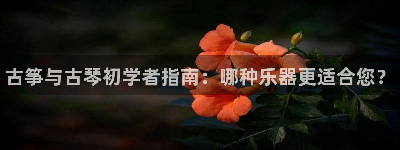 凯发网网站