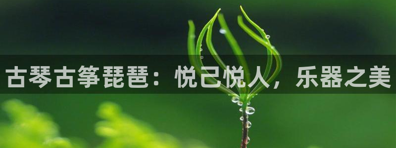 凯发k8国际下载