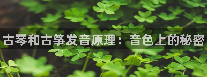ks8凯发登录网址ios版下载