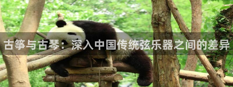 凯发一触即发