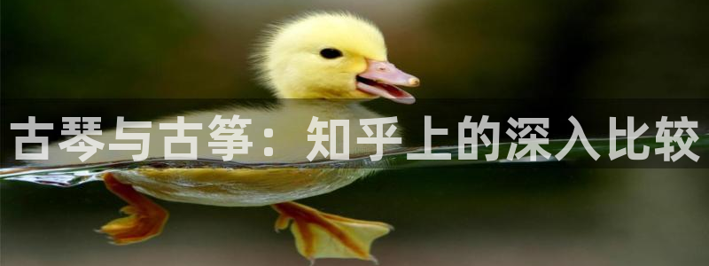 凯发旗舰厅登录免费下载