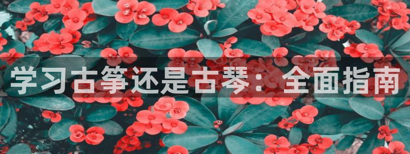 凯发网网站