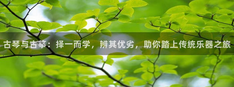 凯发K8旗舰厅