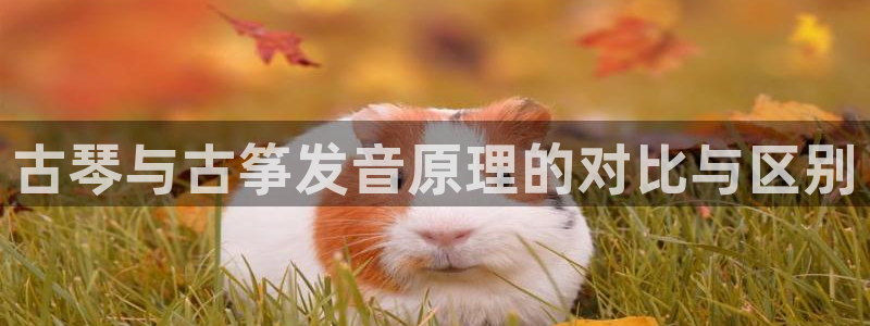 凯发k8娱乐注册登录
