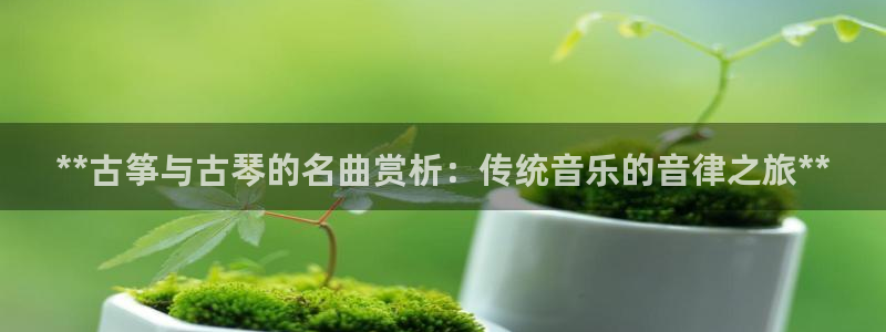 凯发平台风采