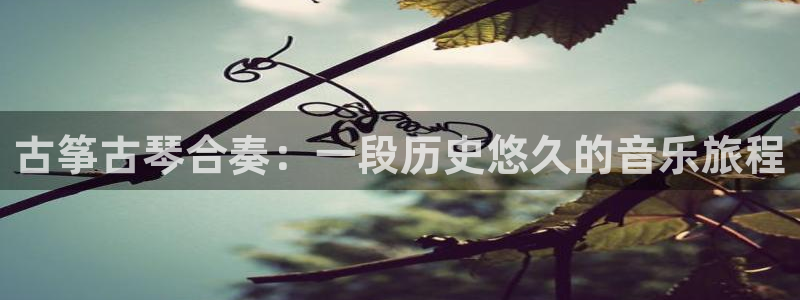 ks8凯发官方网站