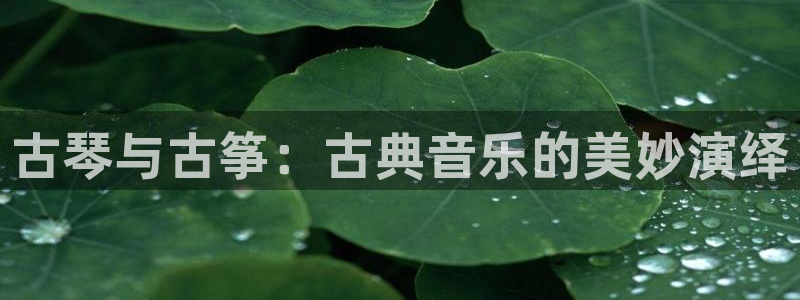 凯发国际平台