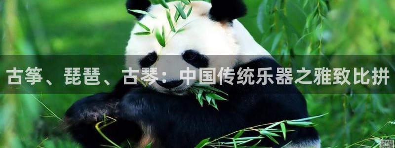 国际凯发k8真人版旗舰厅