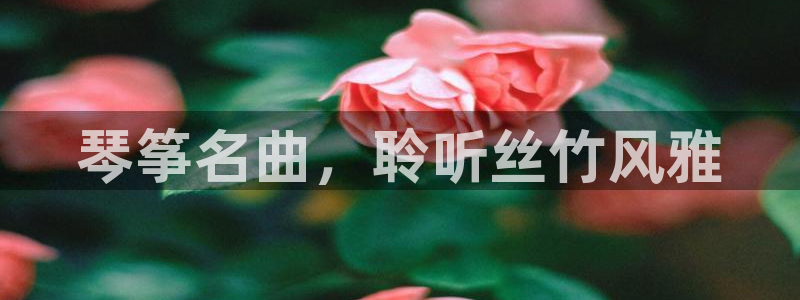 凯发国际怎么赚钱