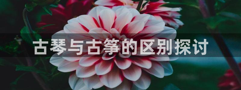 凯发国际网站官网