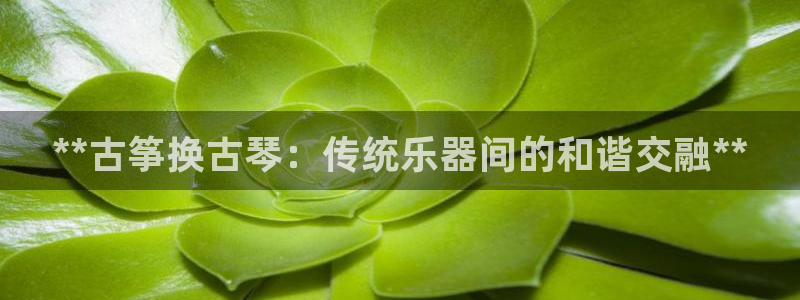 凯发k8娱乐是国内平台?