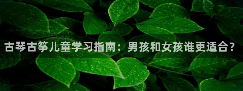 凯发官网手机app