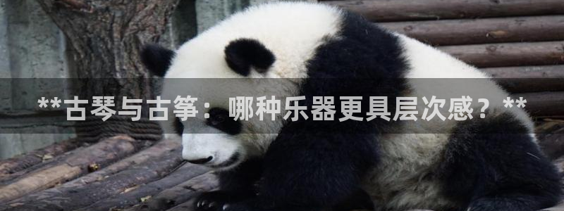 凯发娱乐国际厅