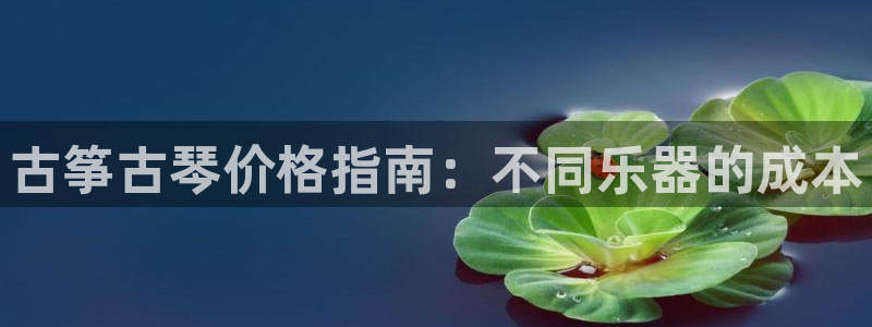 凯发k8官方网娱乐官方真