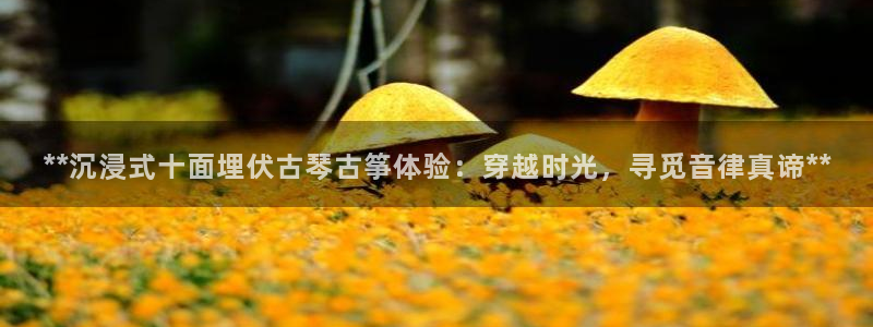 凯发娱乐k8国际