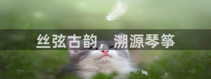 凯发线上app苹果版下载