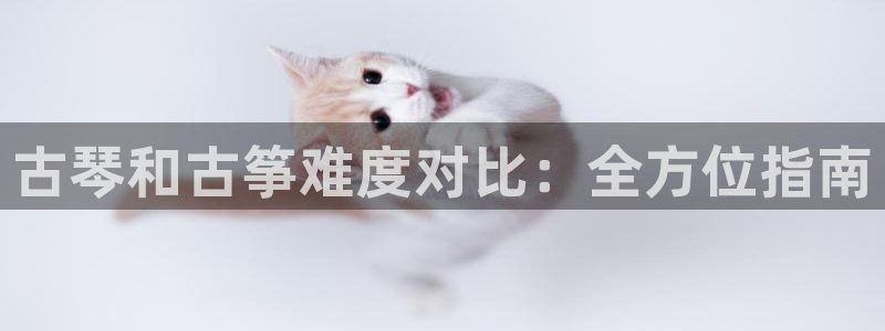 凯发国际网址官网