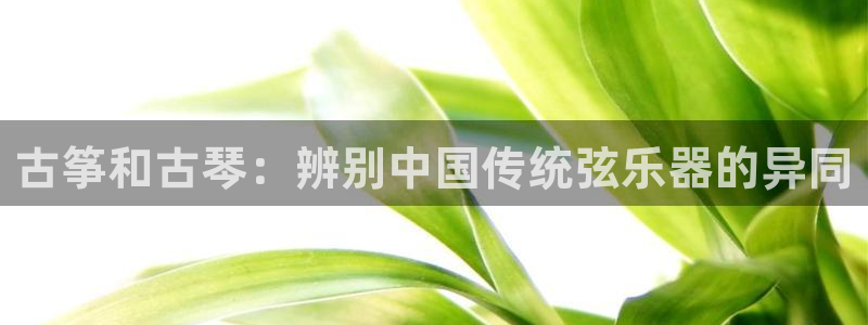 k8凯发是做什么的