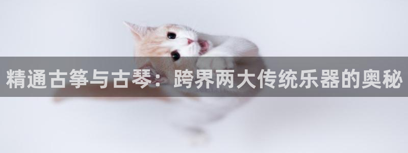凯发国际是什么