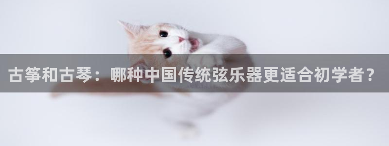 凯发官网|认准kpm