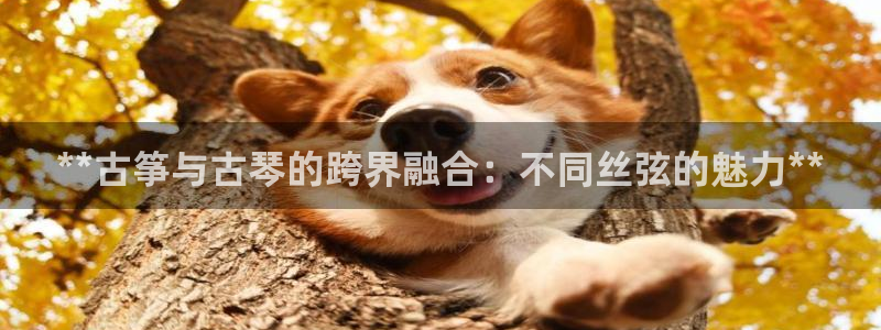 凯发平台网址