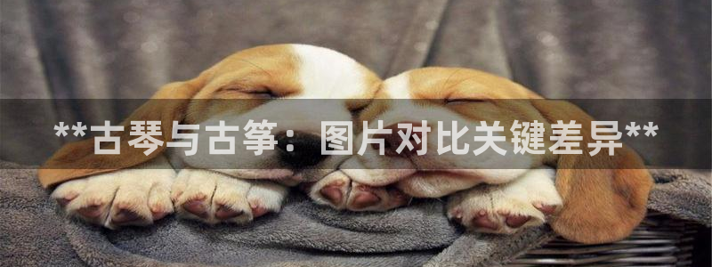 凯发国际网络平台网址