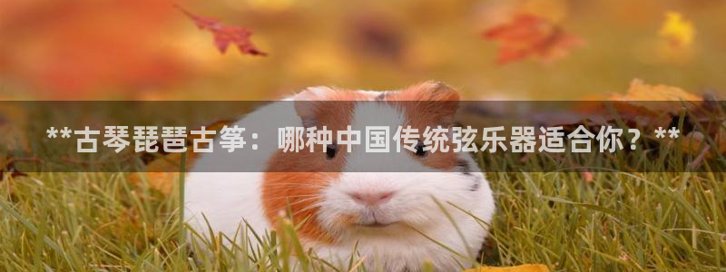 凯发旗舰厅
