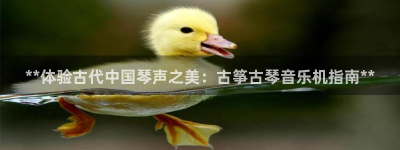 凯发娱乐官方网