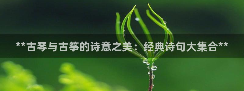 凯发k8娱乐旗舰