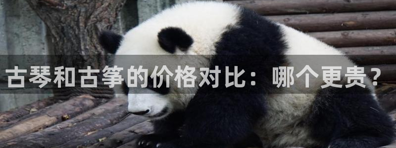 凯发平台敌7O777