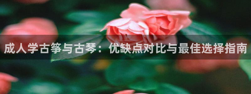 凯发k8app下载