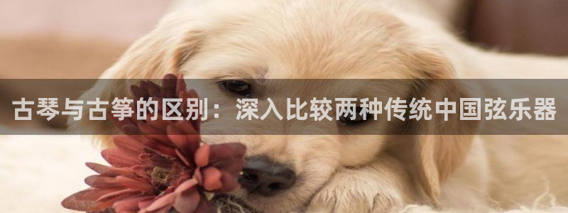 凯发k8官方网娱乐官方真