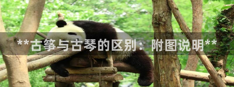 凯发网官网
